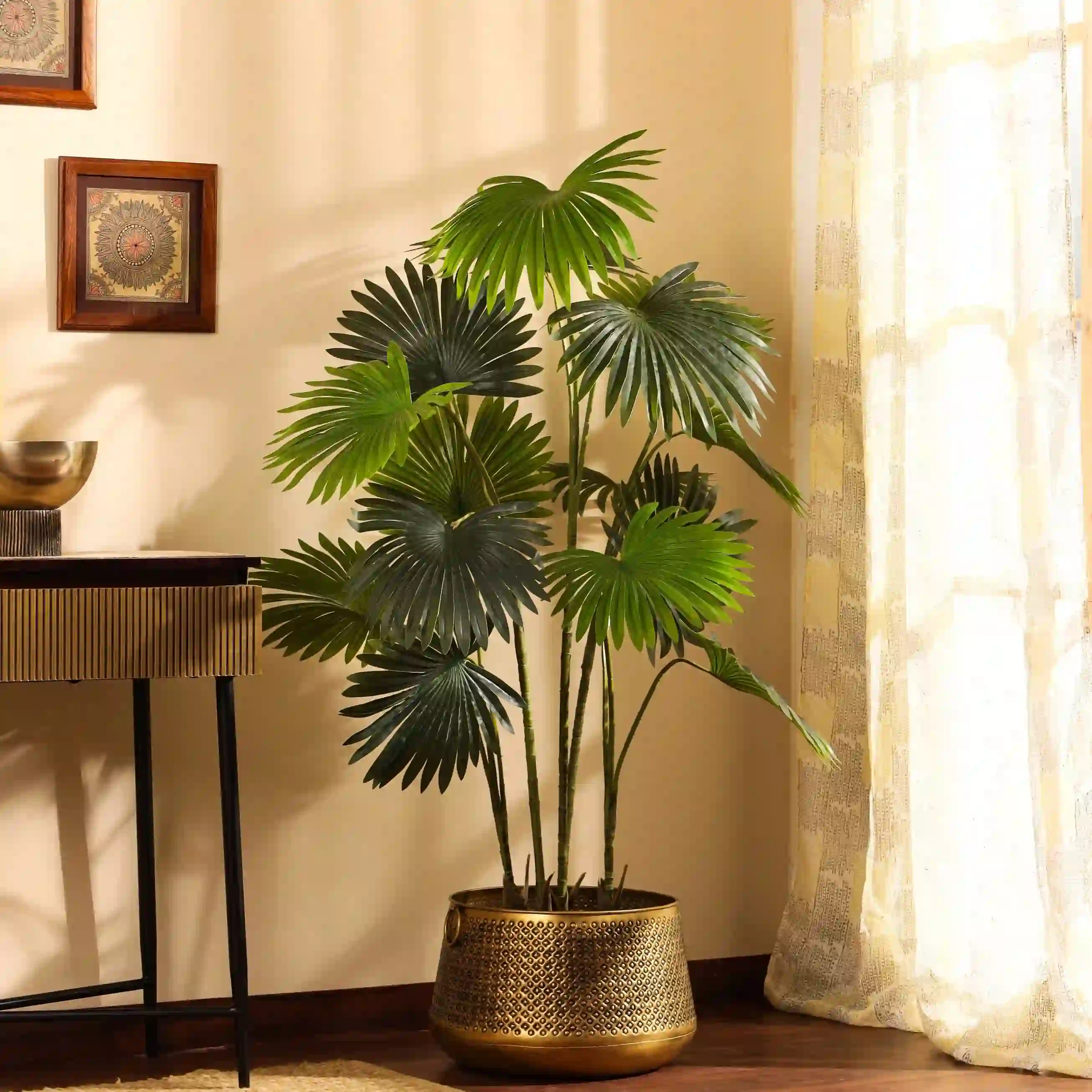 Pankha Palm 2121 (પંખા પામ)